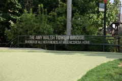 Amy Walsh Tower Bridge Chicago Illinois royaltyfria bilder Amy Walsh Tower Bridge Chicago Illinois royaltyfria bilder