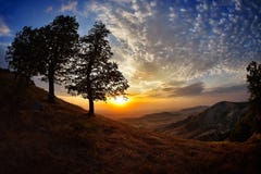 Aménagez en parc au coucher du soleil/au lever de soleil en été, Dobrogea, Roumanie photos stock Aménagez en parc au coucher du soleil/au lever de soleil en été, Dobrogea, Roumanie photos stock