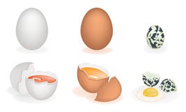An Illustration Set Of Three Different Eggs Stock Image An Illustration Set Of Three Different Eggs Stock Image