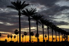 Anaheim solnedgång royaltyfri foto Anaheim solnedgång royaltyfri foto
