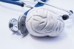 Anatomisk modell 3D av den mänskliga hjärnan som organ nära stetoskopet som stor chestpiece är forskning eller prov av hjärnan Be arkivbild Anatomisk modell 3D av den mänskliga hjärnan som organ nära stetoskopet som stor chestpiece är forskning eller prov av hjärnan Be arkivbild