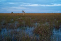 Anche paesaggio dei terreni paludosi fotografie stock Anche paesaggio dei terreni paludosi fotografie stock