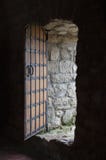 Ancient Door Stock Photography