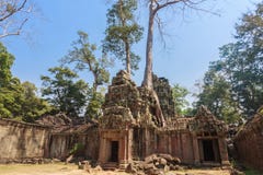Ancient gallery of amazing Ta Prohm temple overgrown with trees. Mysterious ruins of Ta Prohm nestled among rainforest Royalty Free Stock Photos Ancient gallery of amazing Ta Prohm temple overgrown with trees. Mysterious ruins of Ta Prohm nestled among rainforest Royalty Free Stock Photos