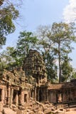 Ancient gallery of amazing Ta Prohm temple overgrown with trees. Mysterious ruins of Ta Prohm nestled among rainforest Stock Photography Ancient gallery of amazing Ta Prohm temple overgrown with trees. Mysterious ruins of Ta Prohm nestled among rainforest Stock Photography