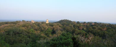 Ancient Mayan temples rise above jungle canopy - Tikal, Guatemala. royalty free stock photography Ancient Mayan temples rise above jungle canopy - Tikal, Guatemala. royalty free stock photography