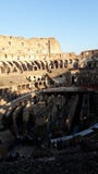 The bottom of the Colosseum stock images The bottom of the Colosseum stock images