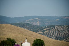 Andalusia schilderachtig heuvelig plattelandspanorama met olijfbomenbosjes op gecultiveerde gebieden in zuidelijk Spanje, Malaga stock foto Andalusia schilderachtig heuvelig plattelandspanorama met olijfbomenbosjes op gecultiveerde gebieden in zuidelijk Spanje, Malaga stock foto