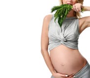 Aneth organique de belle prise de femme enceinte pour la salade Consommation saine d'attente de maternité de grossesse photo libre de droits Aneth organique de belle prise de femme enceinte pour la salade Consommation saine d'attente de maternité de grossesse photo libre de droits