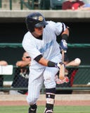 Angel Aguilar, Charleston RiverDogs lizenzfreie stockbilder Angel Aguilar, Charleston RiverDogs lizenzfreie stockbilder