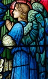 Angel (praying) in stained glass