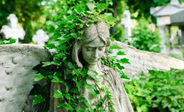 Angel Statue With Ivy Royalty Free Stock Photos Angel Statue With Ivy Royalty Free Stock Photos