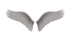 Angel Wings. Alpha channel Included. Looped. Easy to use.