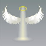 Angel wings and golden halo vector illustration Angel wings and golden halo vector illustration