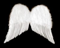 Angel Wings Isolated on Black