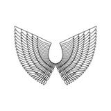 White angel wing isolated stock photo. Image of color - 35179348