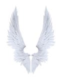 White angel wing isolated stock image. Image of background - 35179467