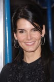 Angie harmon στοκ εικόνες Angie harmon στοκ εικόνες