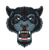 Angry panther head. vector illustration Angry panther head. vector illustration
