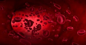 Animación de glóbulos roja en una arteria, cuerpo interior del flujo, atención sanitaria humana Animación de glóbulos roja en una arteria, cuerpo interior del flujo, atención sanitaria humana