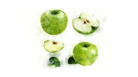 Animación que dibuja la manzana verde Animación que dibuja la manzana verde