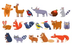 Animais selvagens ajustados, urso bonito da floresta dos desenhos animados, pássaro, ouriço, lobo, guaxinim, alce, cervos, coelho Foto de Stock Animais selvagens ajustados, urso bonito da floresta dos desenhos animados, pássaro, ouriço, lobo, guaxinim, alce, cervos, coelho Foto de Stock