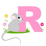 Animal alphabet R. Illustration of alphabet letter R with a cute little rat isolated on white background. R is for Rat royalty free illustration Animal alphabet R. Illustration of alphabet letter R with a cute little rat isolated on white background. R is for Rat royalty free illustration