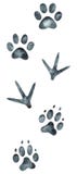 Animal and bird footprints. Hand-drawn watercolor illustration. stock illustration Animal and bird footprints. Hand-drawn watercolor illustration. stock illustration