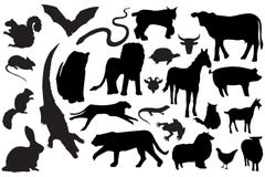 Animal silhouettes