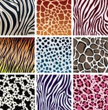 Animal skin textures