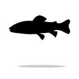 Animale acquatico della siluetta del nero del pesce del salmerino royalty illustrazione gratis Animale acquatico della siluetta del nero del pesce del salmerino royalty illustrazione gratis