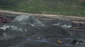 animales mezclados de trabajo y fabricación de la opinión de la fábrica del puerto 4K en el fondo de la naturaleza verde, almacen de video animales mezclados de trabajo y fabricación de la opinión de la fábrica del puerto 4K en el fondo de la naturaleza verde, almacen de video