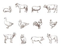 Animali da allevamento illustrazione vettoriale Animali da allevamento illustrazione vettoriale