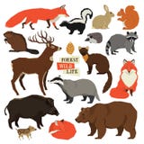 Animali di Forest Wild Life Isolated messi illustrazione vettoriale Animali di Forest Wild Life Isolated messi illustrazione vettoriale