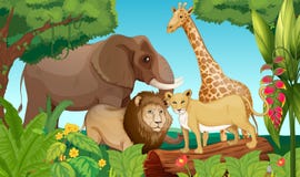 Animals In The Jungle Royalty Free Stock Image Animals In The Jungle Royalty Free Stock Image