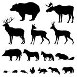 Animals silhouette set Royalty Free Stock Photo Animals silhouette set Royalty Free Stock Photo