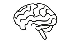 Animated Icon of the Human Brain Stock Footage - Video of creativity,  intelligence: 204437482