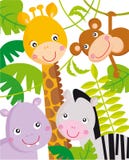 Animaux de jungle Animaux de jungle