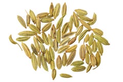 Anise Seeds Royalty Free Stock Photos Anise Seeds Royalty Free Stock Photos