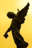 Anjo