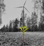 Anlage in einem Windmühlenhintergrund stockfoto Anlage in einem Windmühlenhintergrund stockfoto