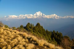 Annapurna summit with view from Poonhill, tibetan praying flags royalty free stock images Annapurna summit with view from Poonhill, tibetan praying flags royalty free stock images