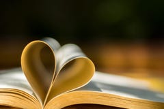 Anneaux de mariage d'or, livre de coeur, tache floue de fond Image stock Anneaux de mariage d'or, livre de coeur, tache floue de fond Image stock