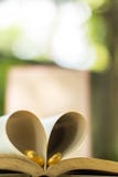 Anneaux de mariage d'or, livre de coeur, tache floue de fond Image stock Anneaux de mariage d'or, livre de coeur, tache floue de fond Image stock