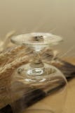 Anneaux de mariage sur un verre - (Fin) images stock Anneaux de mariage sur un verre - (Fin) images stock