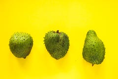 Annona Muricata auf lokalisiertem gelbem Hintergrund lizenzfreie stockfotografie Annona Muricata auf lokalisiertem gelbem Hintergrund lizenzfreie stockfotografie