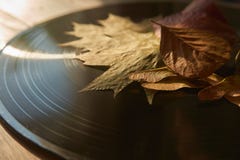 Annotazione di vinile d'annata e foglie di autunno immagine stock Annotazione di vinile d'annata e foglie di autunno immagine stock