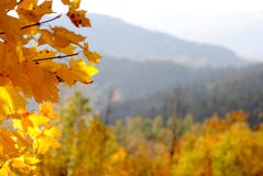 Ansicht des Rokytnice nad Jizerou, KrkonoÅ-¡ e lizenzfreie stockfotos Ansicht des Rokytnice nad Jizerou, KrkonoÅ-¡ e lizenzfreie stockfotos