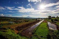 Ansicht zu den Jatiluwih-Reisterrassen bei Sonnenaufgang auf Bali-Insel, I Stockfotografie Ansicht zu den Jatiluwih-Reisterrassen bei Sonnenaufgang auf Bali-Insel, I Stockfotografie