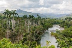 Ansicht über Nationalpark alejandro De Humboldt mit Fluss Kuba lizenzfreie stockfotos Ansicht über Nationalpark alejandro De Humboldt mit Fluss Kuba lizenzfreie stockfotos